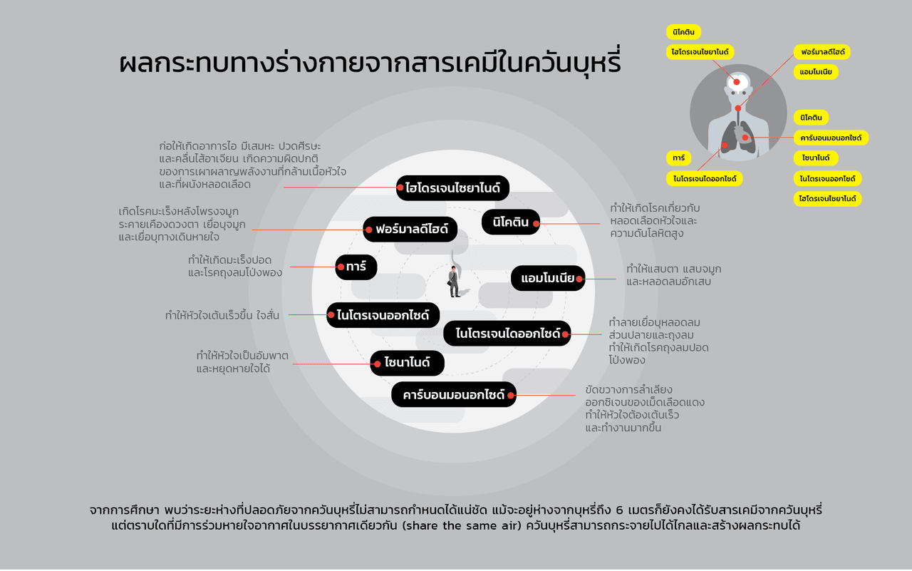 แผนภาพผลกระทบทางร่างกายจากสารเคมีในควันบุหรี่